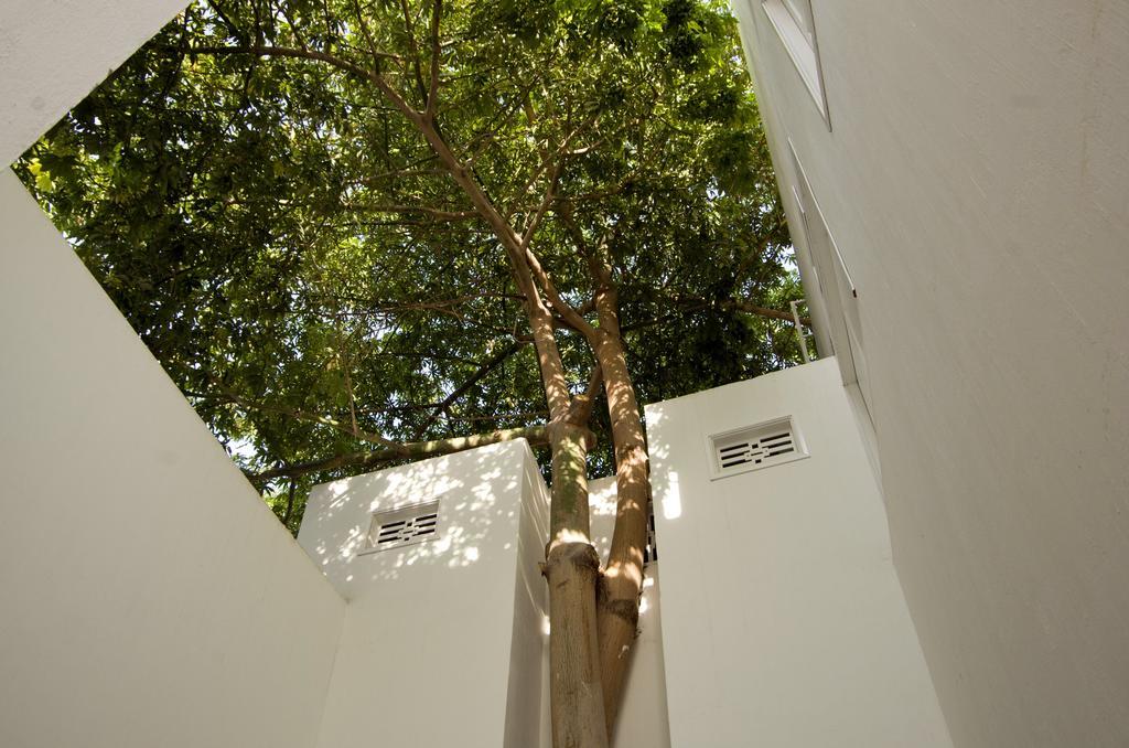 La Casa Del Piano Hotel Boutique By Xarm Hotels 산타마르타 외부 사진